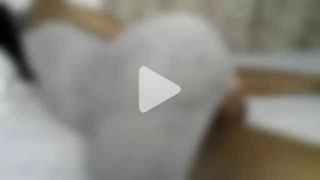 sweet_sassy_ photo 9