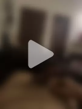 talall12345 photo 15