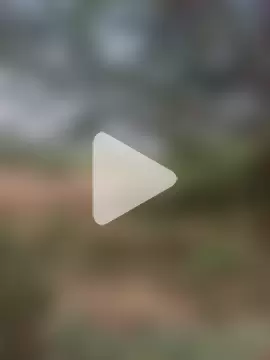 tamilpaiyan000 photo 10