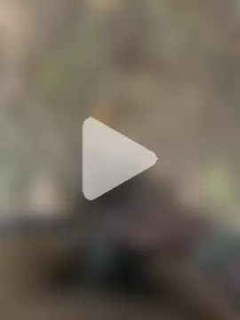 tamilpaiyan000 photo 9