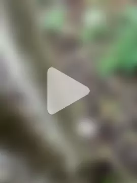 tamilpaiyan000 photo 7