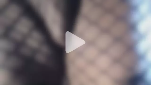 taylor_hot85 photo 1