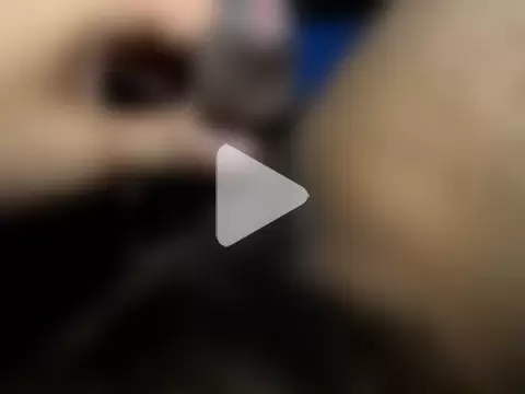 telugu__sulli photo 17