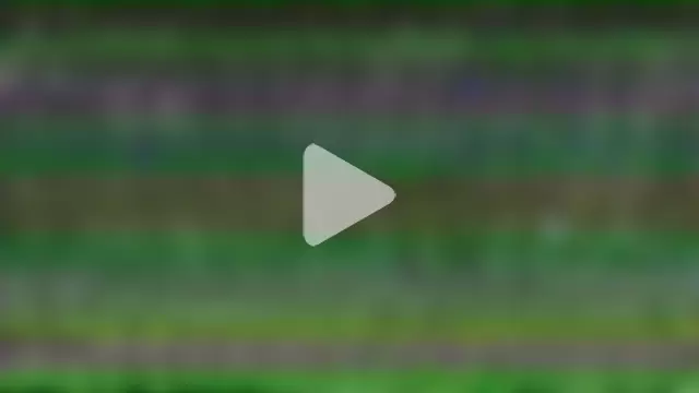 teya_starling photo 24