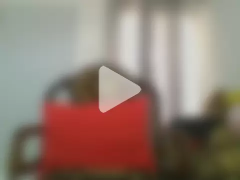 the_geisha_2021k photo 17