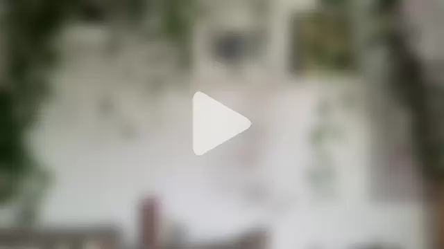 the_new_fit_rubinho photo 5