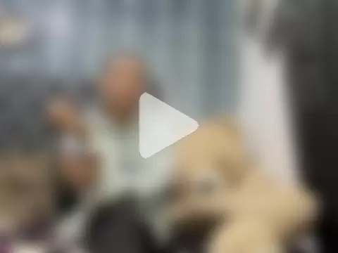 timmy_turner_x18 photo 4