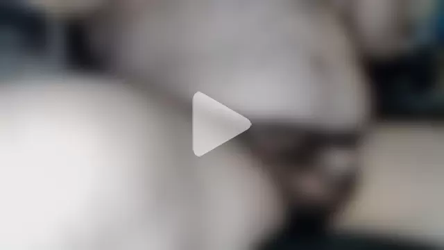 tinypenisnyc photo 21