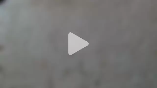 titi_fiesta photo 22