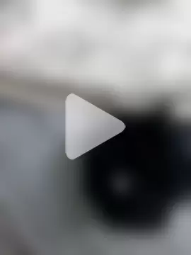 trembossauro27 photo 8