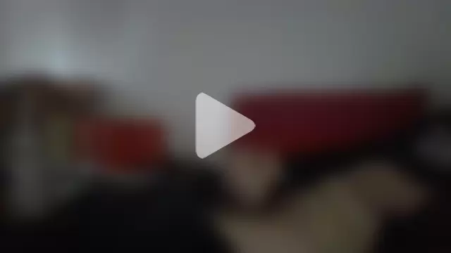 tristan_12273 photo 1