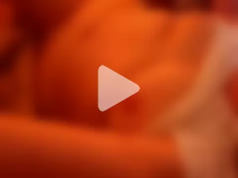 tudiablitalitabellaaa photo 14