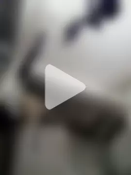 tunegrito007 photo 7