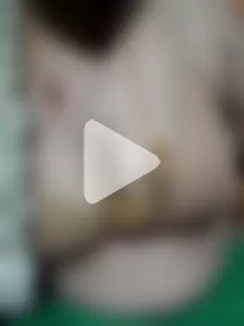 tuttifrutti17 photo 20