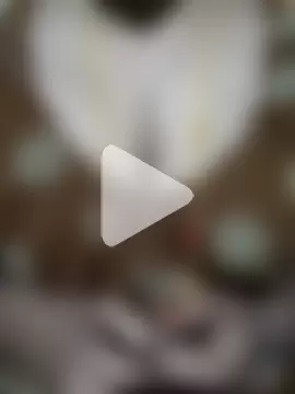 tuttifrutti17 photo 3