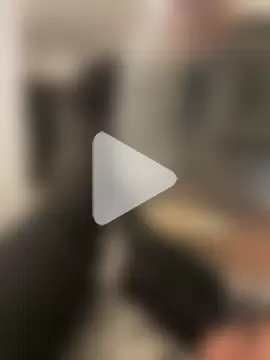 twinkwhitemx photo 19