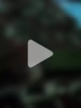 urielpereira photo 1