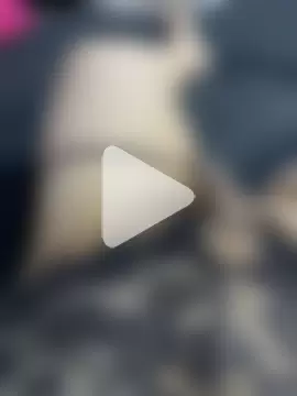 valenthottie photo 11