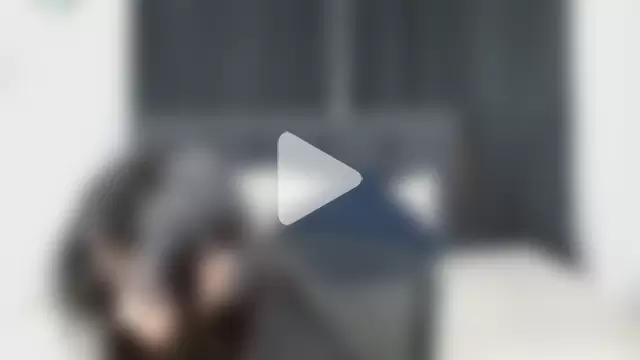 vaness_weet photo 11