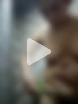 vanessa-titisM photo 28