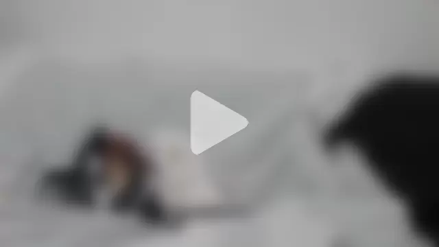 vanessadeesse photo 3