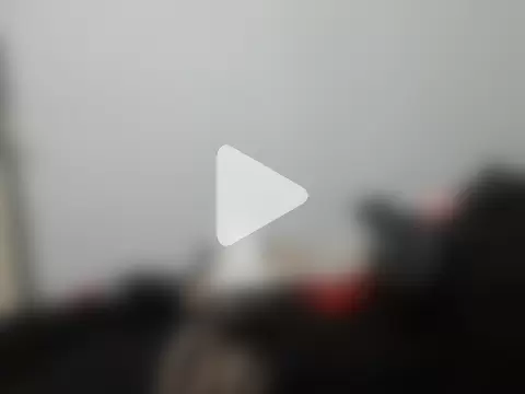 vanessadeesse photo 2