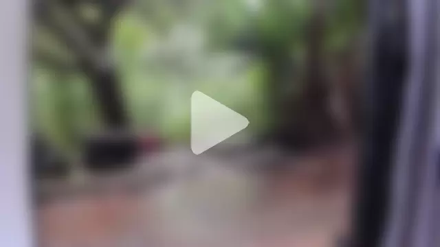 venusandzeus@xh photo 4