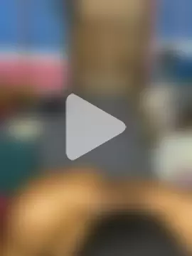 vergaswerrtt photo 18