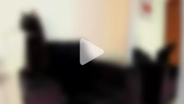 victoria__lace_ photo 5