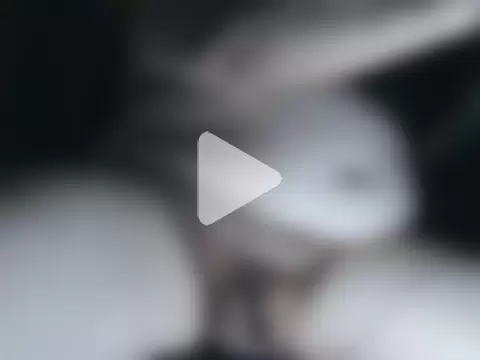 viejo65pajero photo 2