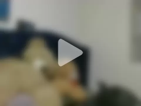 vikysexy283 photo 23