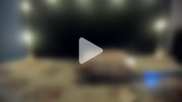 violetadumsper photo 16