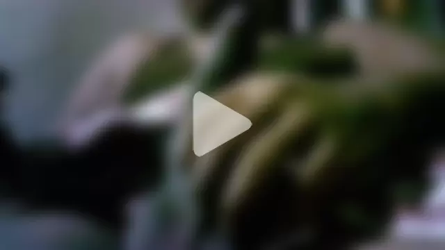 virgin_Odiaboy photo 18