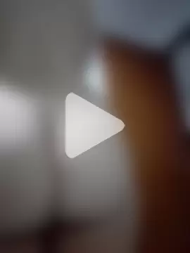 vixen_velvett1 photo 11