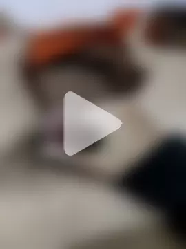 vogliadicazzo26 photo 14