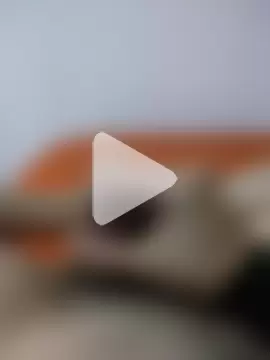 vogliadicazzo26 photo 7