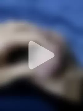 vogliadicazzo26 photo 3