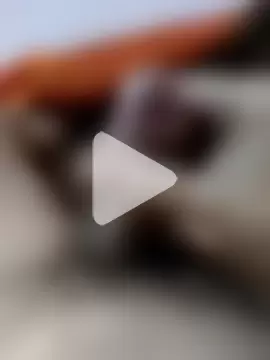 vogliadicazzo26 photo 2