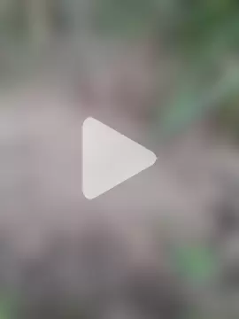 volcanojatt00 photo 18