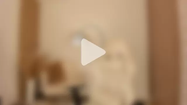 wandathompson_ photo 11