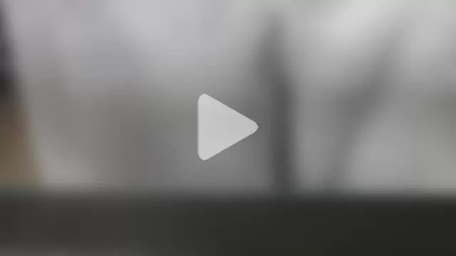 we_are_fucking_serious photo 19