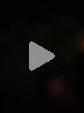 wellingtonmds photo 23