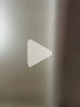 wellingtonmds photo 14