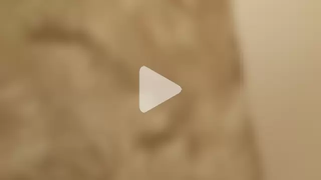 wetnwildforyou photo 5