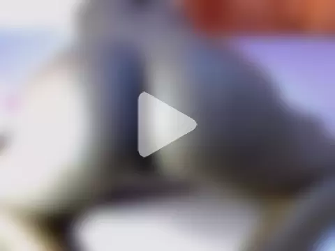 weusi12wetu photo 14