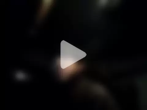 whitebriefboy photo 4