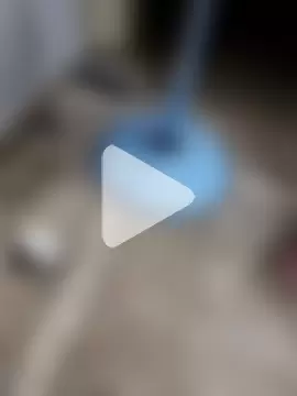 whitebullock photo 5