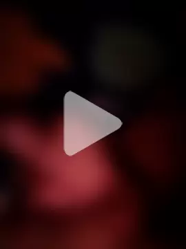 wilfredovilltl photo 1