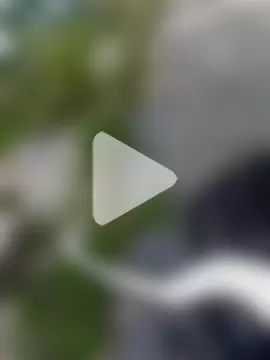 winter0cold_ photo 9