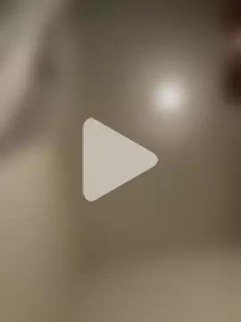 wolfwhite95 photo 29